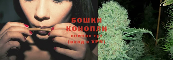 молекула духа Заводоуковск