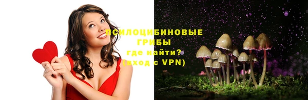крисы Елизово