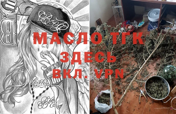 крисы Елизово