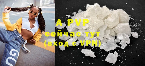 прущие крисы Ельня
