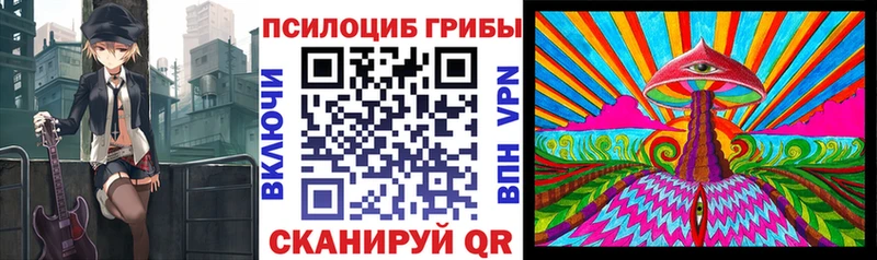 Галлюциногенные грибы мицелий  Купить  Светлоград 